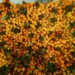 enterprise market exposure analysis