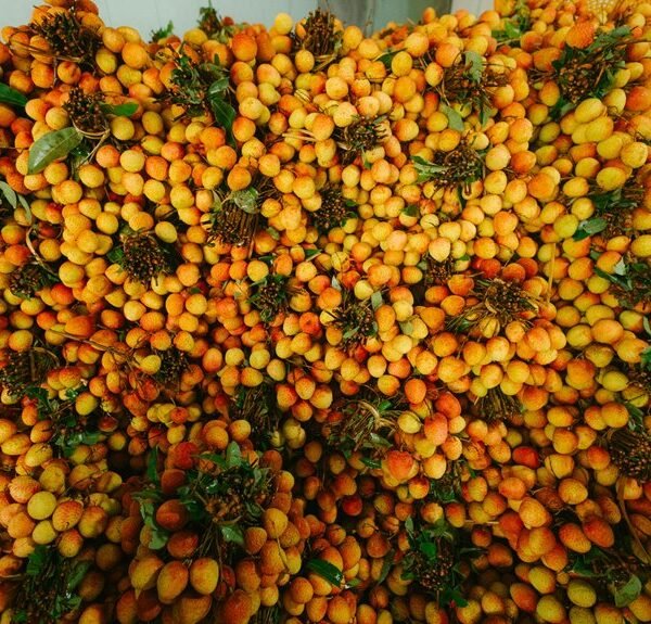 enterprise market exposure analysis