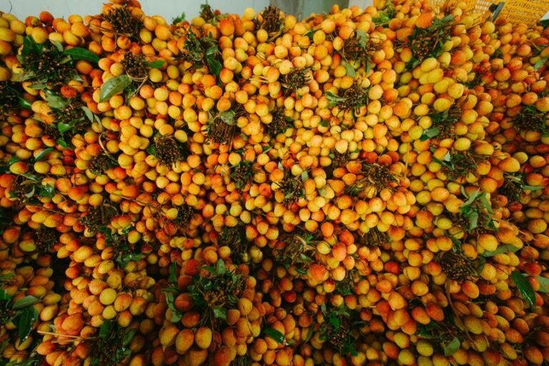 enterprise market exposure analysis