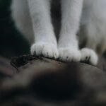 operational footprint classification log