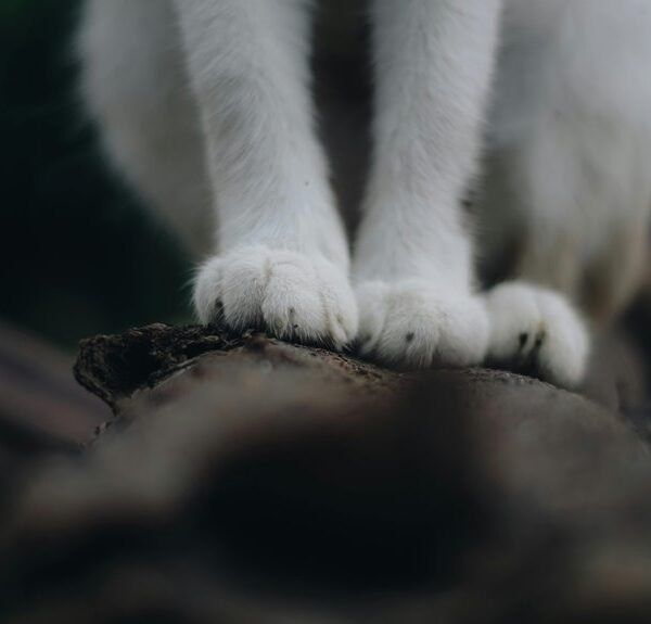 operational footprint classification log